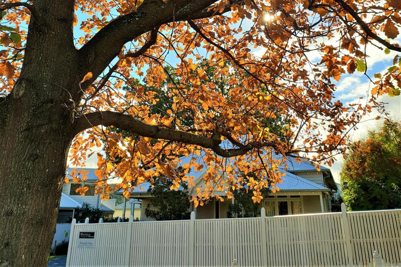 Healesville House - Magnolia House Экстерьер фото